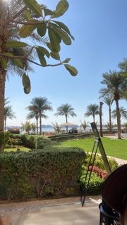 Palm trees, swaths of green grass in a tropical park, sea beyond